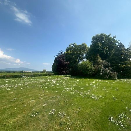 Beautiful Farmhouse An Hour'S Drive From Four Irish Cities Clonmel Exteriör bild